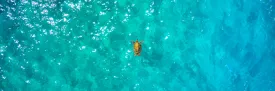 Flying Honu by Andrew Shoemaker