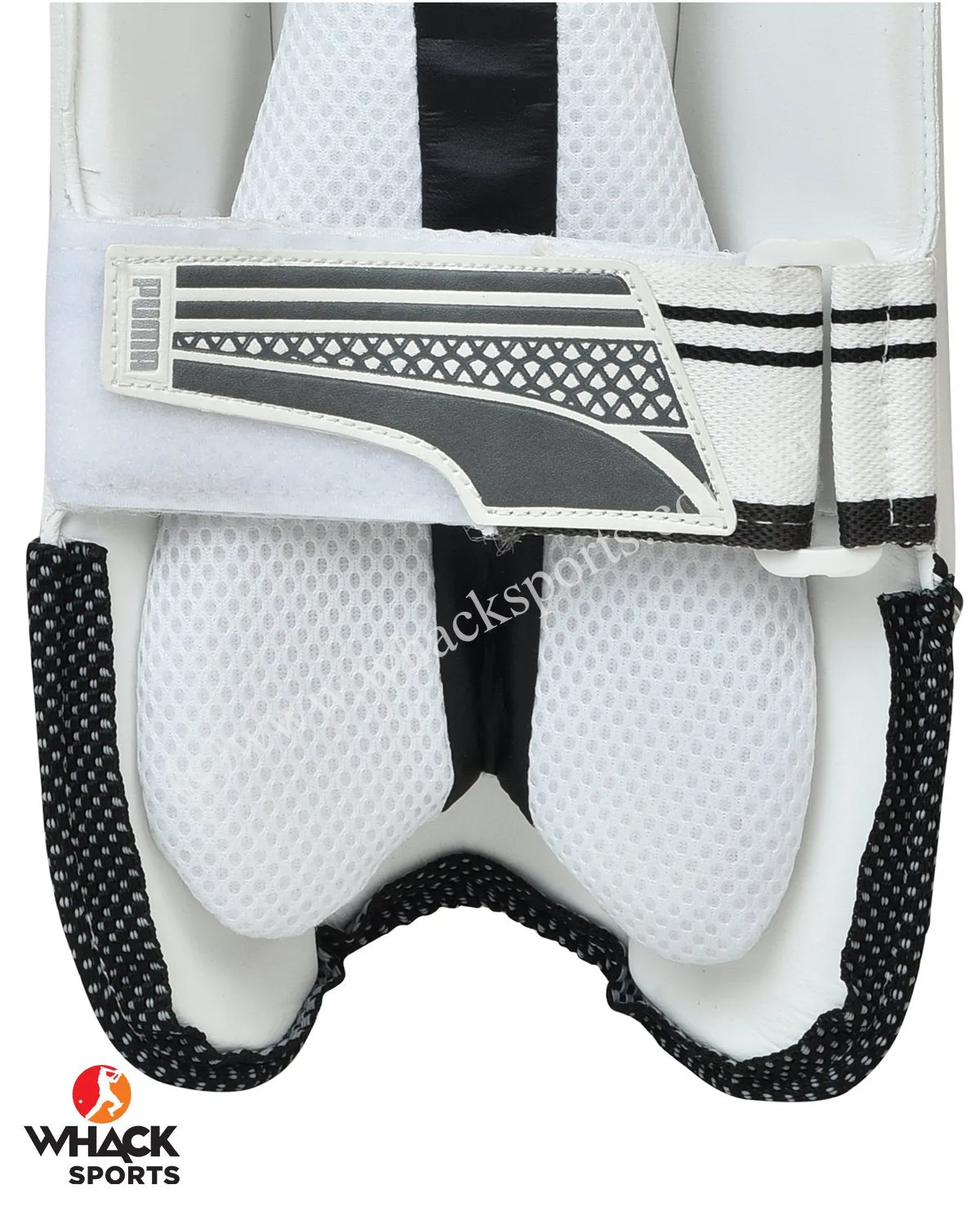 Puma Evo SE Cricket Keeping Pads - Adult